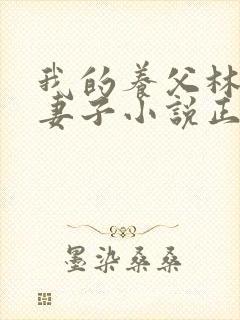 我的养父林叔和妻子小说正版阅读