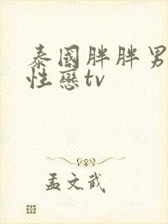 泰国胖胖男男同性恋tv