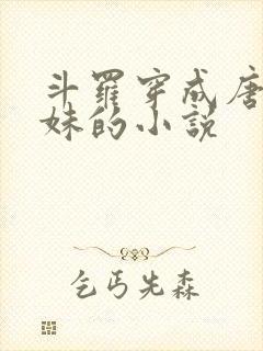 斗罗穿成唐三妹妹的小说