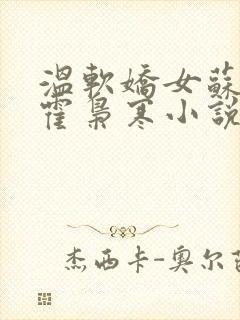 温软娇女苏婉,霍枭寒小说