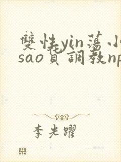 双性yin荡小sao货调教np