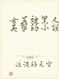 女友被黑人前后夹击的小说情节封面