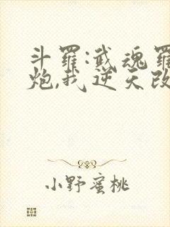 斗罗:武魂罗三炮,我逆天改命