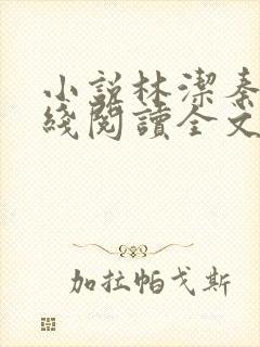 小说林洁秦齐在线阅读全文