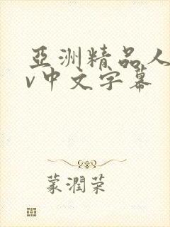 亚洲精品人妻av中文字幕