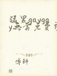 猛男gaygay无套免费视频.