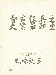 都市狂兵之大红大紫最新更新