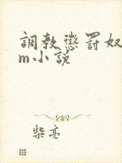 调教惩罚奴隶sm小说