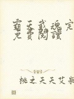 霸天武魂完整版免费阅读封面