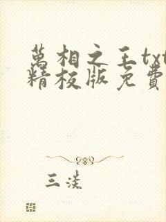 万相之王txt精校版免费阅读