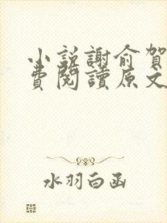 小说谢俞贺朝免费阅读原文