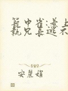 笼中雀:惹上偏执兄长逃不掉正版封面