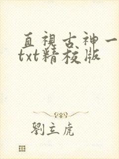 直视古神一整年txt精校版