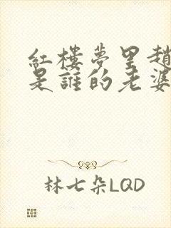 红楼梦里赵姨娘是谁的老婆