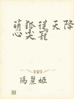 萌狐从天降墨少心尖宠