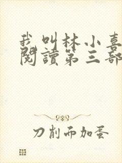 我叫林小喜全文阅读第三部