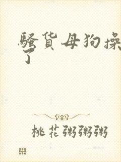骚货母狗操死我了封面