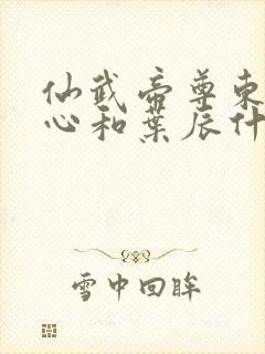 仙武帝尊东凰太心和叶辰什么关系