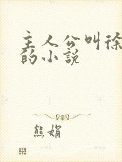 主人公叫徐文东的小说