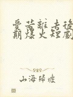 爱若离去后会无期爆火短剧封面