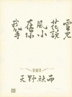 我在风花雪月里等你小说免费阅读