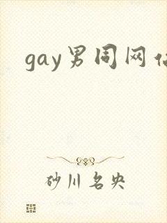 gay男同网站