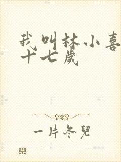 我叫林小喜今年十七岁