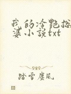 我的冷艳总裁老婆小说txt