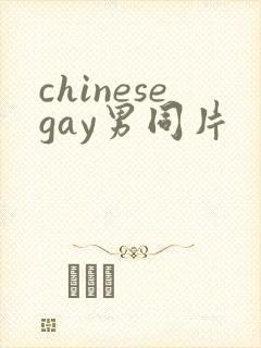 chinesegay男同片封面