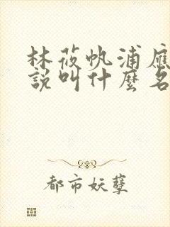 林莜帆浦应辛小说叫什么名字封面