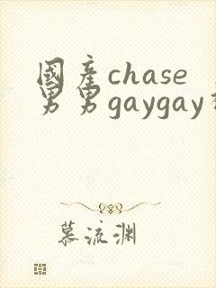 国产chase男男gaygay视频