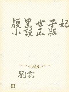 腹黑世子妃日常小说正版