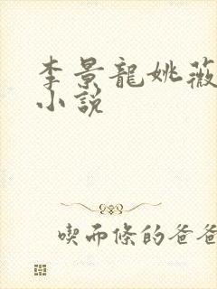 李景龙姚薇李洋小说封面