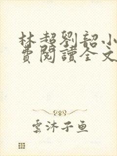 林超刘韶小说免费阅读全文最新章节