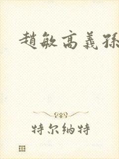 赵敏高义孙倩封面