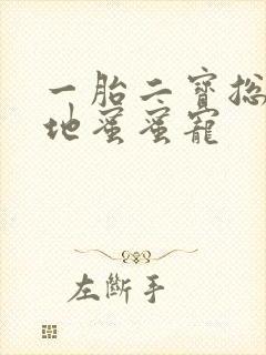 一胎二宝总裁爹地蜜蜜宠