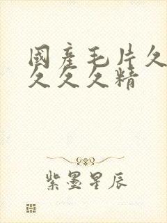 国产毛片久久久久久久精