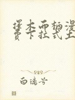 择木而栖漫画免费下拉式土豪漫画