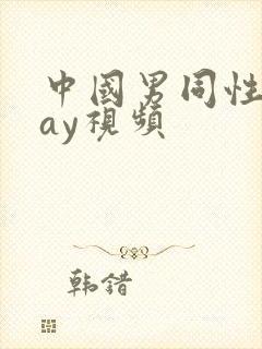 中国男同性恋gay视频