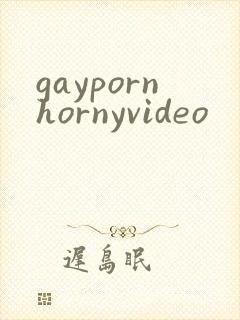 gaypornhornyvideo