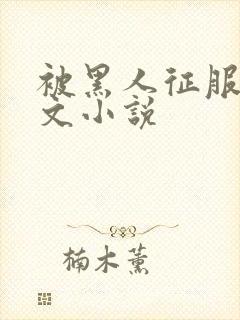 被黑人征服的淫文小说