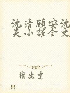 沈清顾安沈澈姐夫小说全文阅读