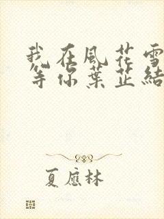 我在风花雪月里等你叶芷结局