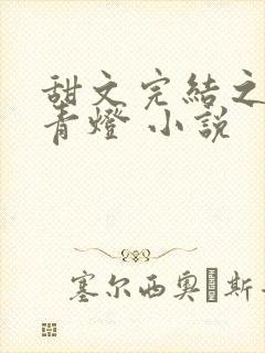 甜文完结之后 青灯 小说