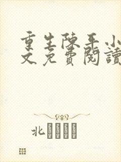 重生陈平小说全文免费阅读封面