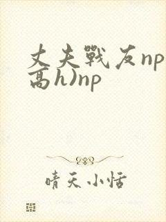 丈夫战友np(高h)np