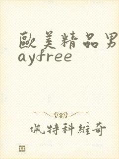 欧美精品男同gayfree