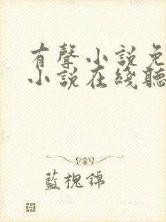 有声小说免费听小说在线听