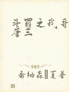 斗罗之我哥哥是唐三