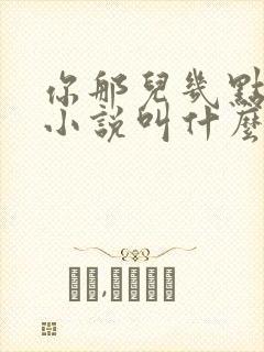 你那儿几点原著小说叫什么